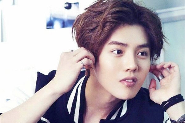 北京姓鹿的大人物都有谁