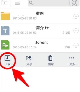 如何使用迅雷下载bt种子？