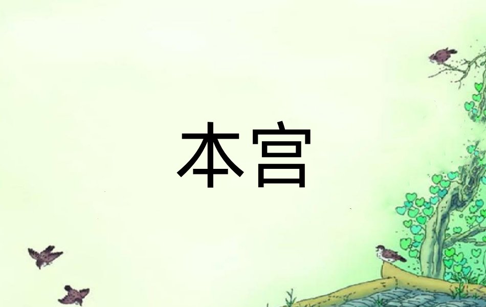 本宫是什么意思