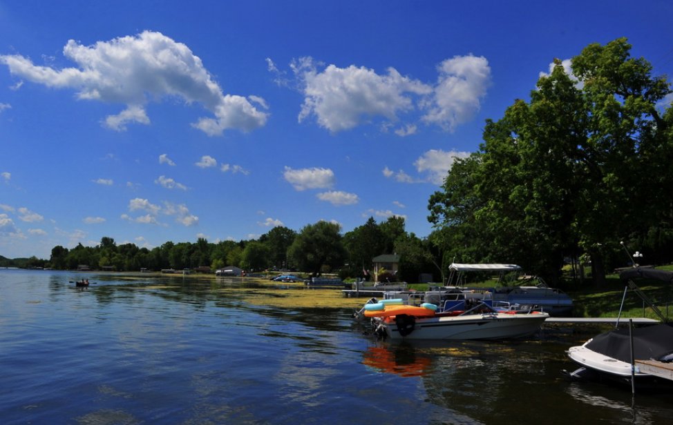 新鲜的空气的英语