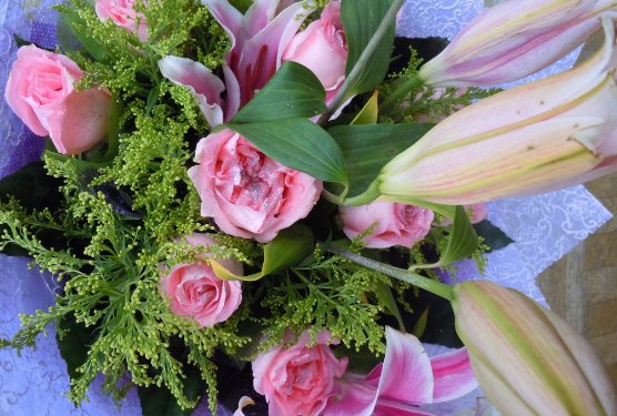 紫得如什么，红得如什么，白得如什么，黄的如什么，粉得如什么。