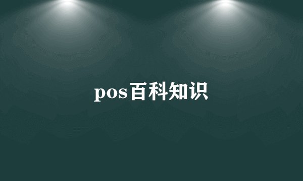 pos百科知识