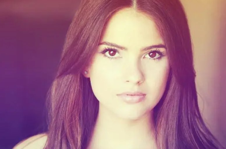 shelley是什么意思