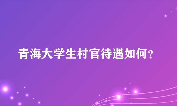 青海大学生村官待遇如何？