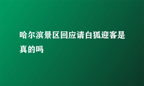 哈尔滨景区回应请白狐迎客是真的吗