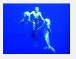 有没有“海豚人”？
