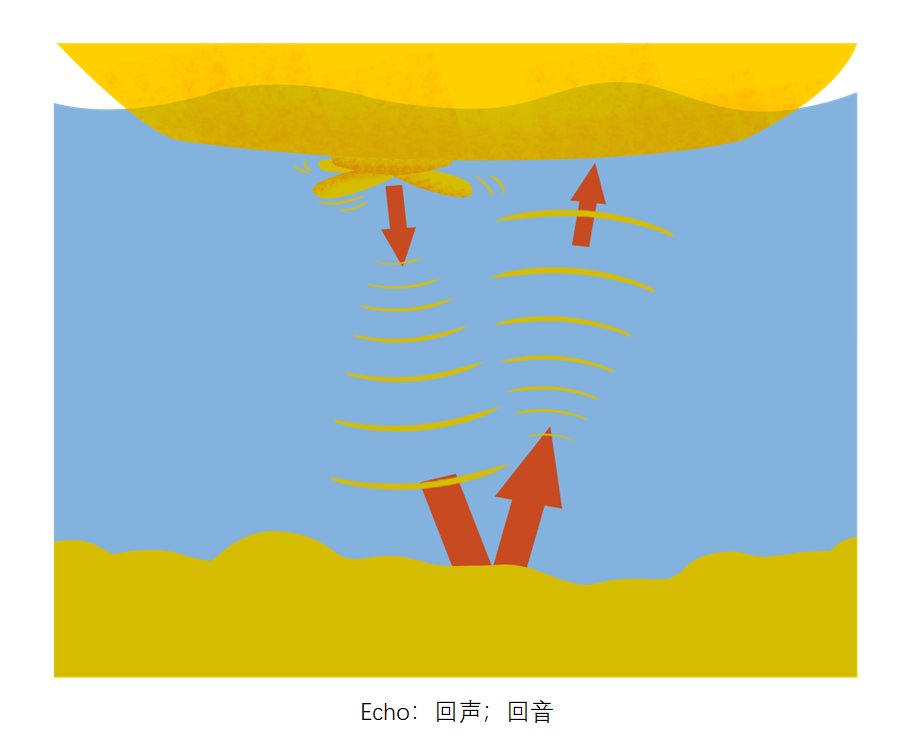 echo是什么意思？