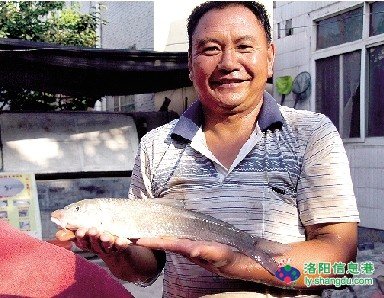 鲖鱼的地理分部