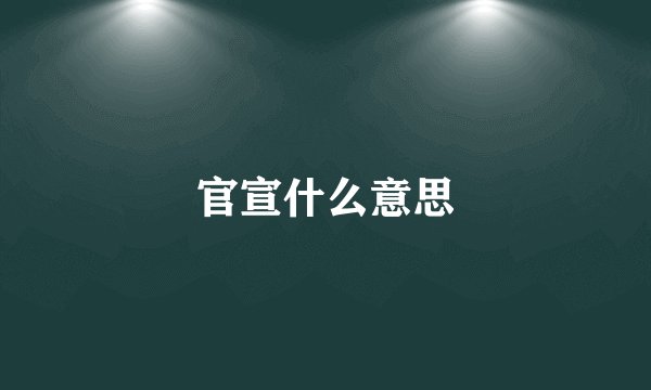 官宣什么意思