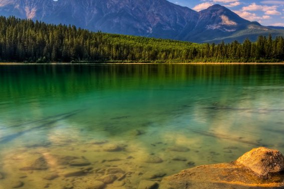 振奋不已的已意思是什么