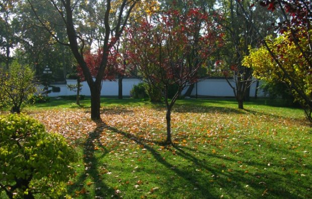 树高百尺下一句是什么