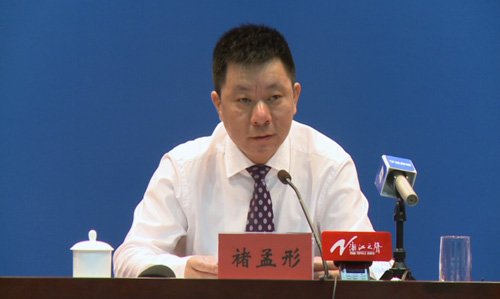 褚孟形的工作经历