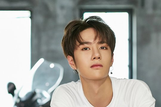 奶膘是哪个明星专属