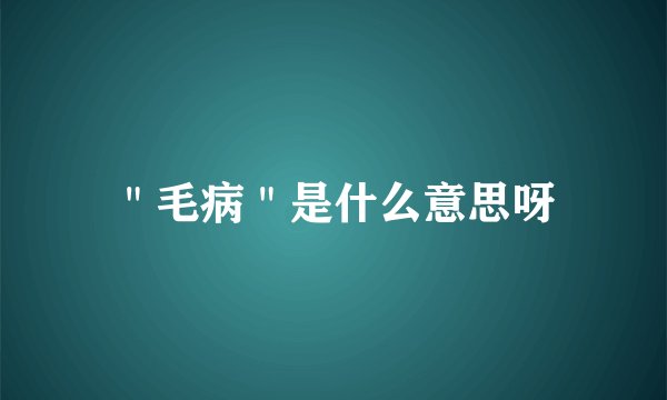 ＂毛病＂是什么意思呀