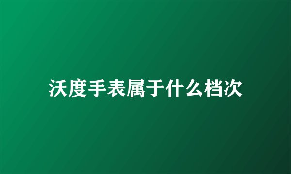 沃度手表属于什么档次