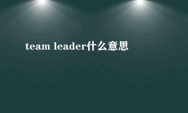 team leader什么意思