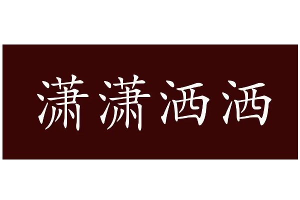 潇潇洒洒的意思是什么