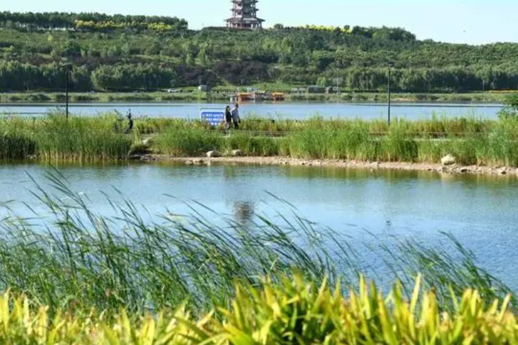 滹沱怎么读什么意思