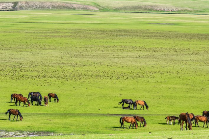 点面结合的优美句子