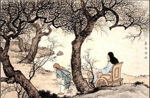 “秋风萧瑟秋草黄,一场秋雨一分凉。”出自哪里？作者是谁？