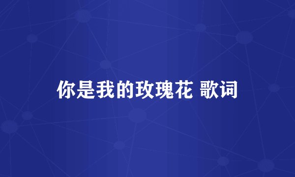 你是我的玫瑰花 歌词