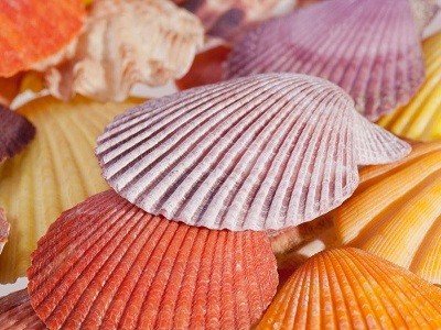 来海南海口必买的十大特产