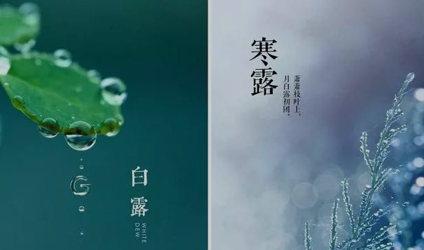 “白露身不露，寒露脚不露”，这句话是什么意思？