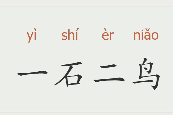 一石二鸟是什么意思
