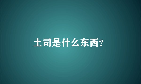 土司是什么东西？