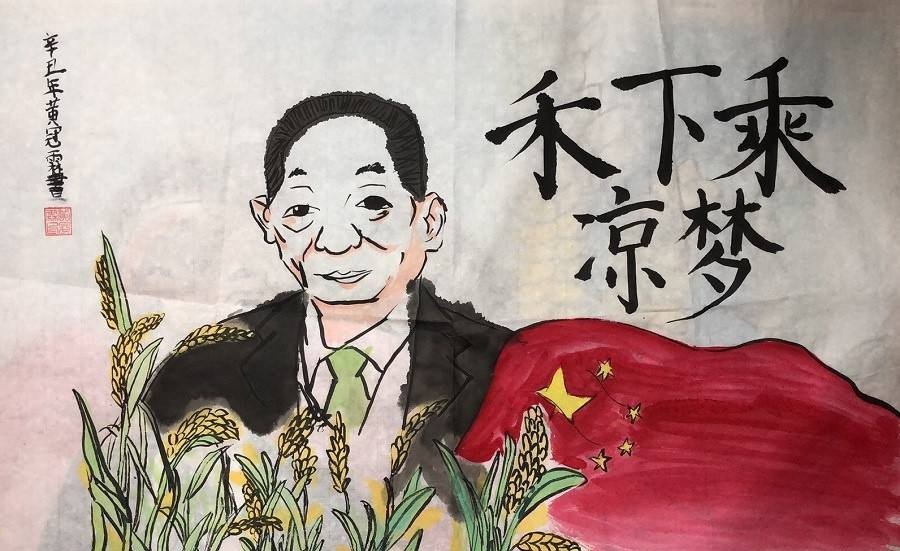袁隆平手抄报图片大全简单漂亮