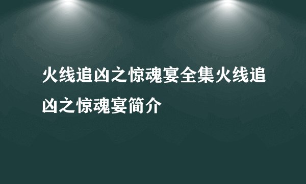 火线追凶之惊魂宴全集火线追凶之惊魂宴简介
