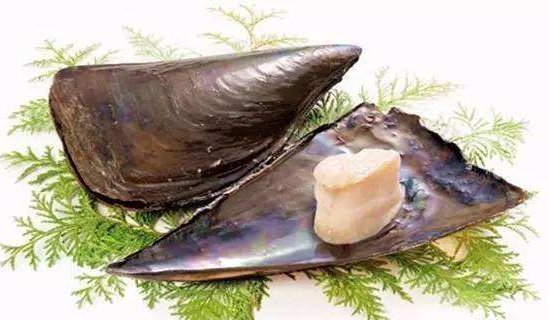 江瑶是什么东西啊?