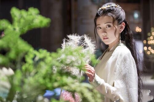 小鱼儿与苏樱是情侣关系吗,后面苏樱怎么死的?