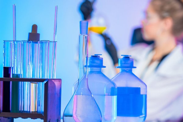 绦虫的卵有多大?绦虫有多长?