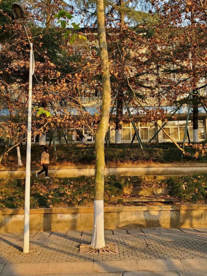 西南科技大学怎么样？