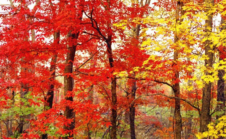 傲视群雄前一句