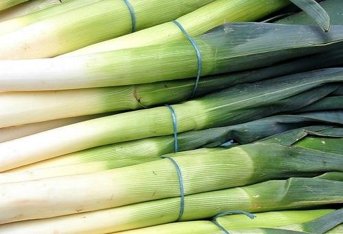 Chive，Leek，Scallion，Shallot，Green onion，Spring onion，Bunching onion 谁给我解析下这几个词。