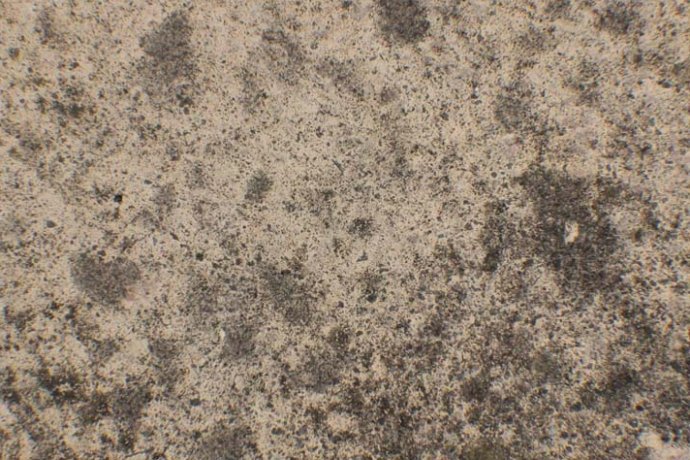 斑驳的意思解释