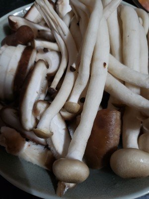 蘑菇烫怎么做好吃