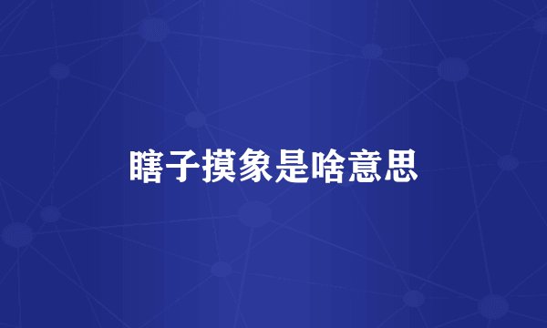 瞎子摸象是啥意思