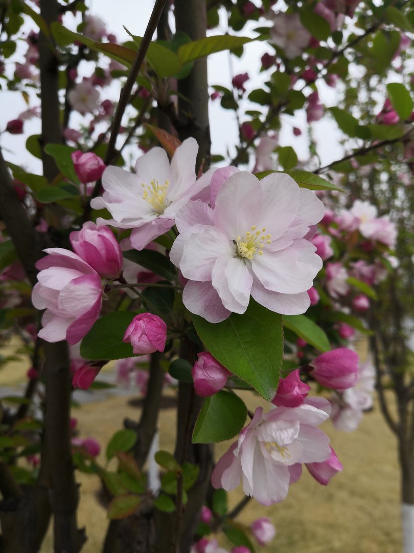 幸福没有那么容易？