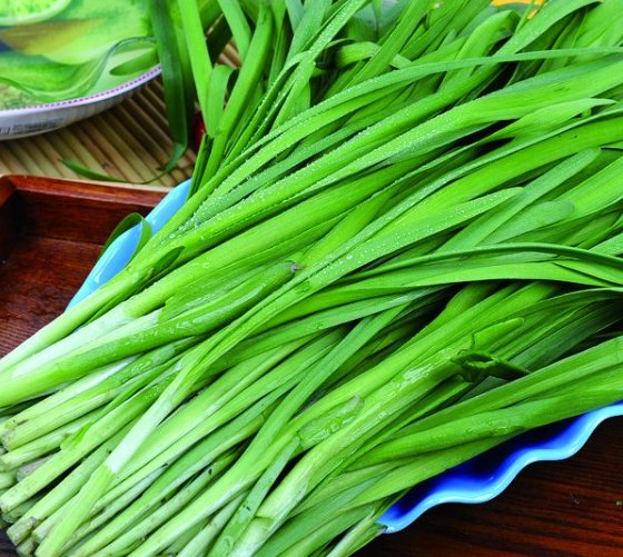 茎类蔬菜有哪些