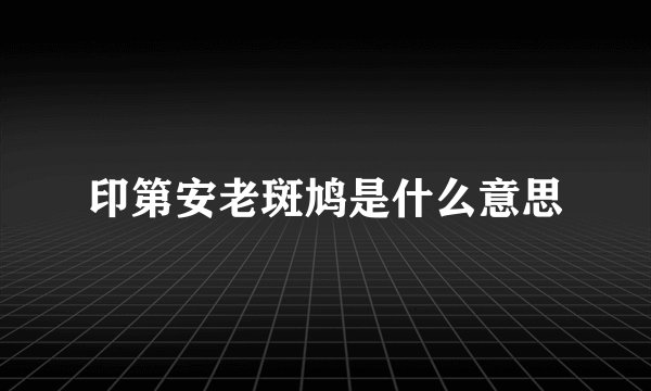 印第安老斑鸠是什么意思