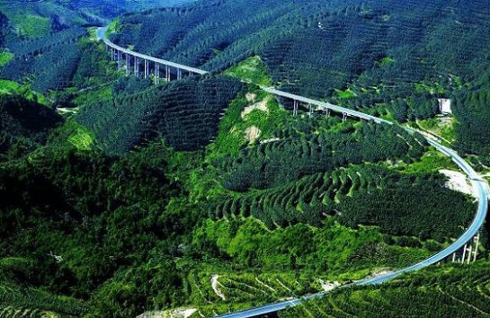 道路设计最大坡度是多少