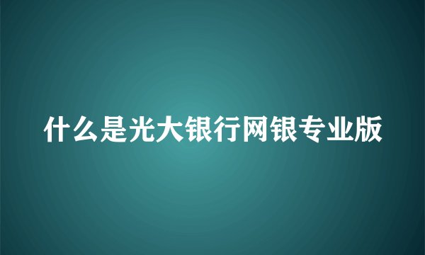 什么是光大银行网银专业版