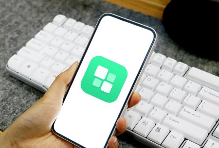 software什么意思