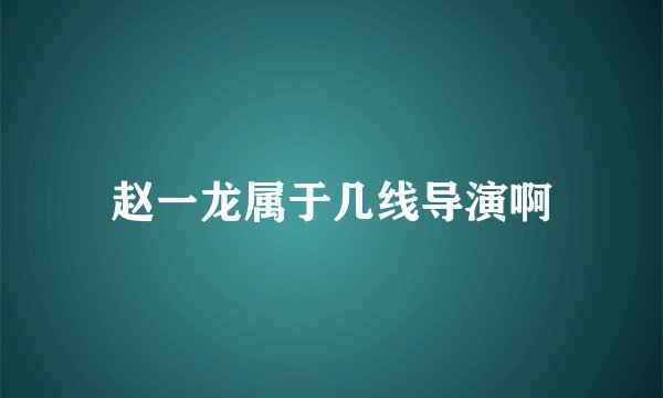 赵一龙属于几线导演啊