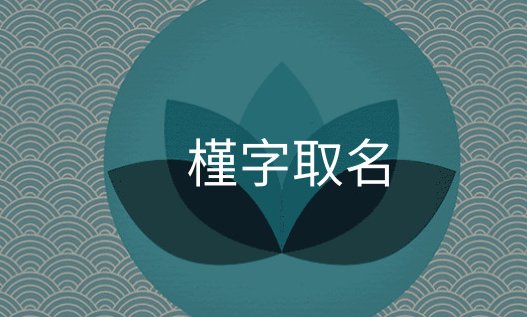 槿代表什么意思
