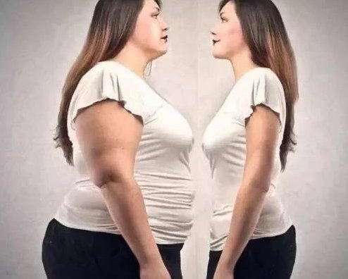 丰腴和胖的区别是什么？