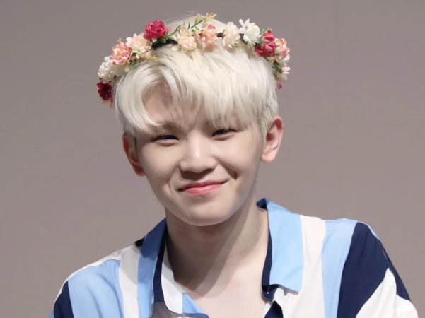 seventeen成员简介